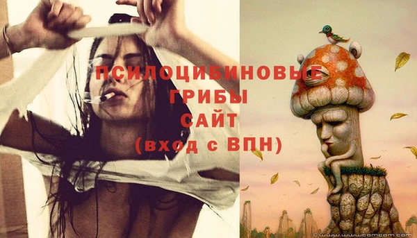 ECSTASY Армянск