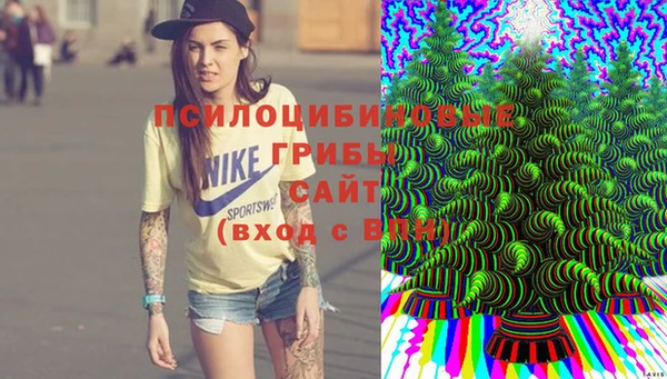 MDMA Premium VHQ Аркадак