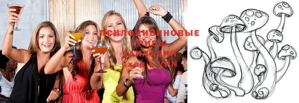 ECSTASY Армянск
